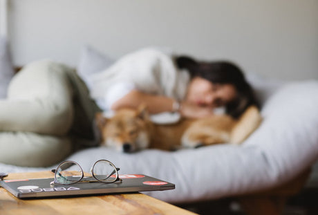 The Connection Between Sleep and Immune Health: Tips for Better Sleep